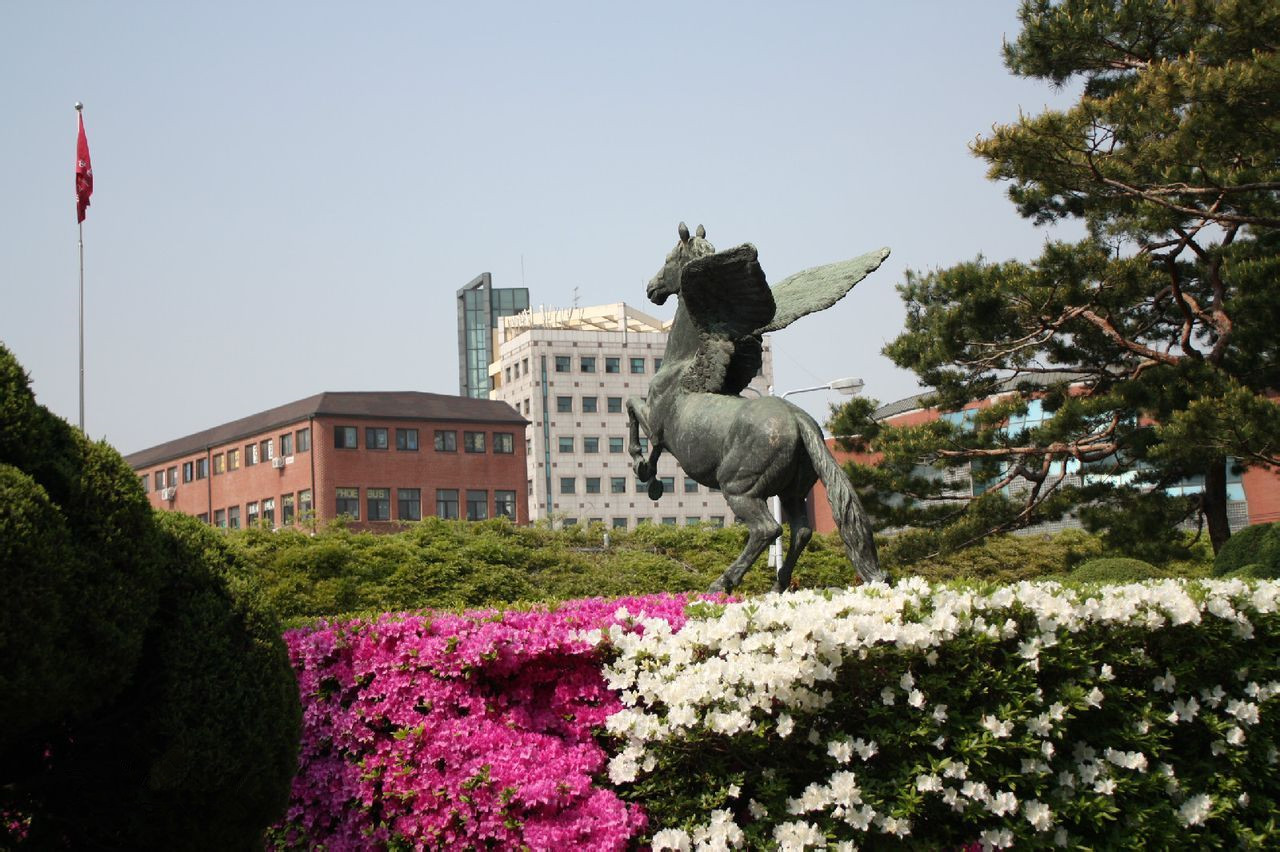 韩国光云大学
